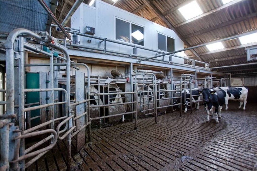 "Maatschap Bos-Carabain" Dairy Farm