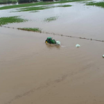 Fattorie danneggiate dalle inondazioni in NZ; fonte: High Country Helicopters