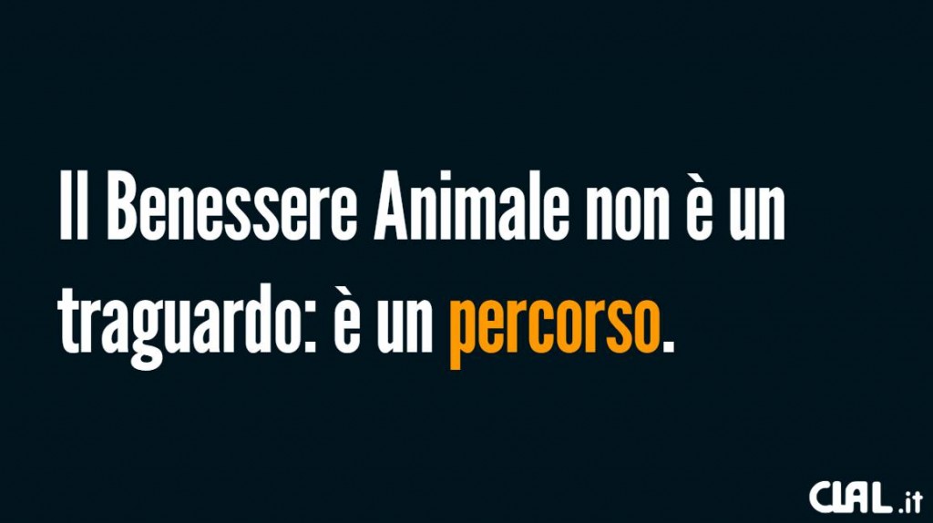 Benessere Animale